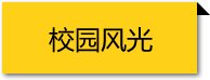 LEDONGSPORTS官方网站入口